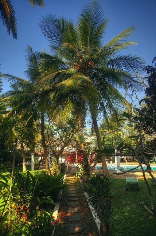 Ypsylon Tourist Resort Beruwala Exteriér fotografie